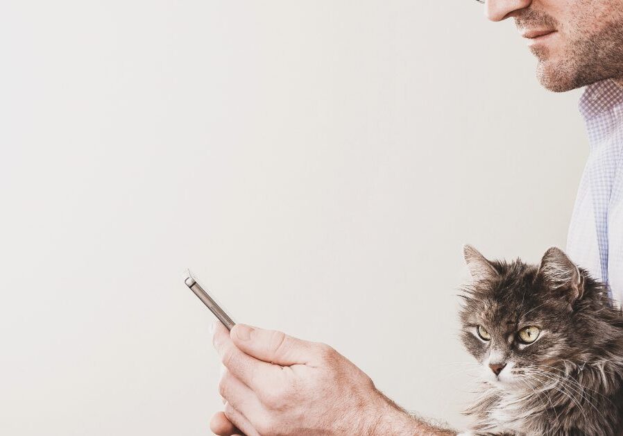 male owner searching on cell phone with cat in his lap